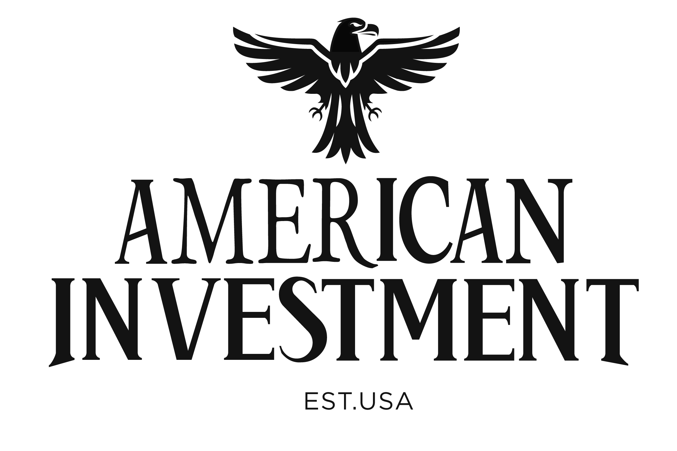 American Investment logo